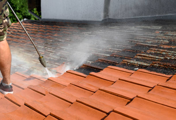 Best Residential Pressure Washing Services  in Danville, IN