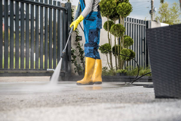 Best Residential Pressure Washing Services  in Danville, IN
